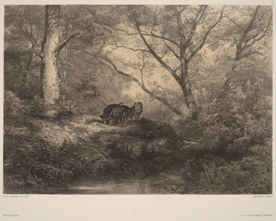  - Karl Bodmer