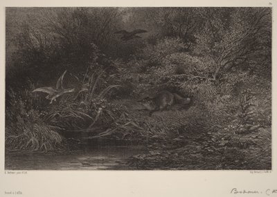 Renard à l