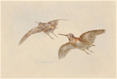  - Karl Bodmer