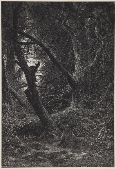  - Karl Bodmer