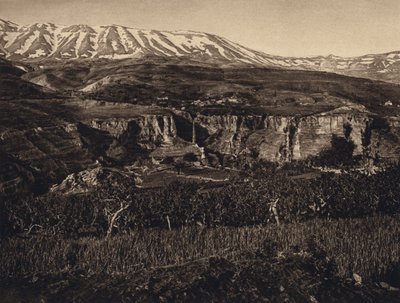 Liban, paysage - Karl Grober
