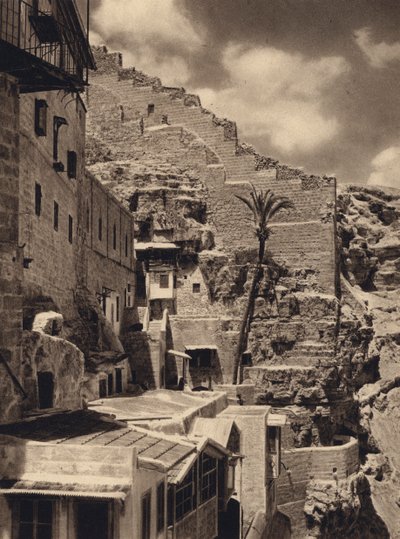 Mar Saba, Palmier de Saint Sabas - Karl Grober