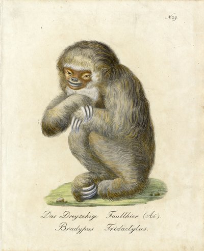  - Karl Joseph Brodtmann