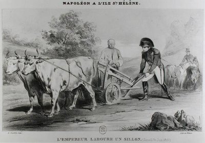 Napoléon (1769-1821) à Sainte-Hélène, gravé par François le Villain - Karl after Loeillot Hartwig