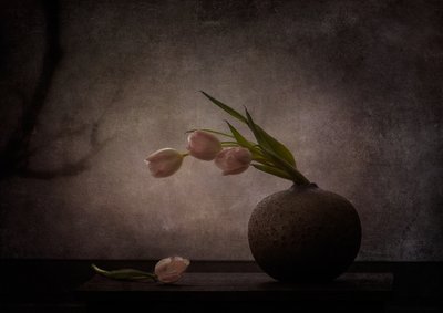  - Katarina Holmström