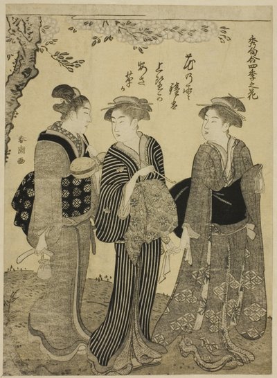 Fleurs de cerisier au printemps, de la série "Les plus beaux odes aux fleurs des quatre saisons (Shuku awase, shiki no hana)" - Katsukawa Shuncho