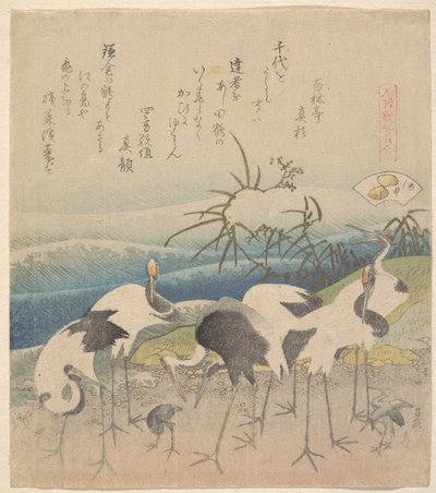Ashi Clam, tiré de la série « Genroku Kasen Kai-awase » - Katsushika Hokusai