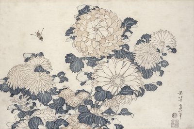 Abeille et chrysanthèmes, de la série 