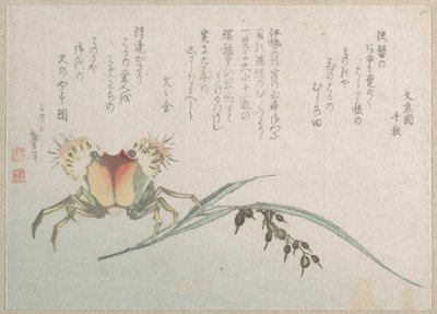 Usine de crabe et de riz - Katsushika Hokusai