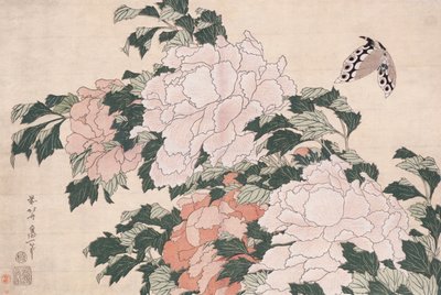 Pivoines roses et rouges soufflées à gauche dans une brise et un papillon - Katsushika Hokusai