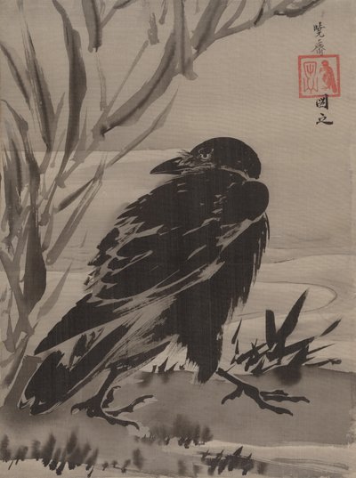 Corbeau et roseaux près d