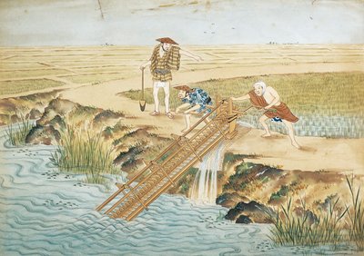Pays-Bas, Leyde, Travail dans les rizières - Keiga Kawahara