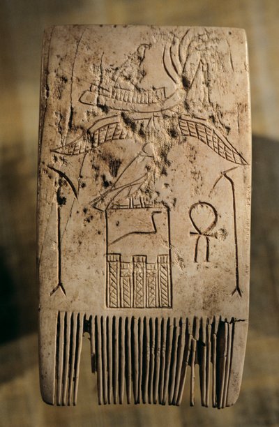 Peigne en ivoire appartenant au souverain de la période dynastique Djer, Abydos, Égypte, 2005 - Kenneth Garrett