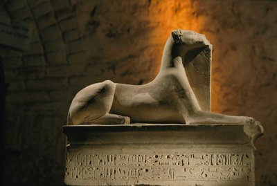 Statue en calcaire du dieu chacal Anubis accroupi sur une base en forme de sarcophage, 2002 (photo) - Kenneth Garrett