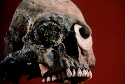 Crâne avec dents limées, Aztèque, Mexique, Templo Mayor - Kenneth Garrett