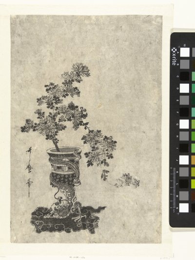 Chrysanthèmes dans un vase - Kitagawa Utamaro (attributed to)