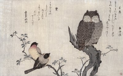 Un hibou et deux bouvreuils orientaux, d