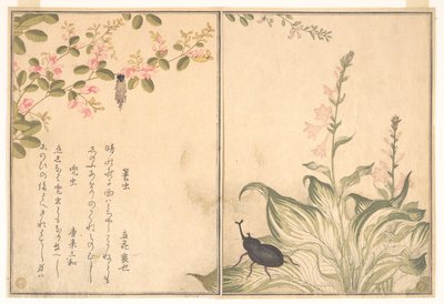  - Kitagawa Utamaro