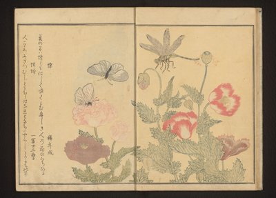 Papillons et libellule près des coquelicots - Kitagawa Utamaro