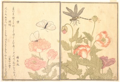  - Kitagawa Utamaro