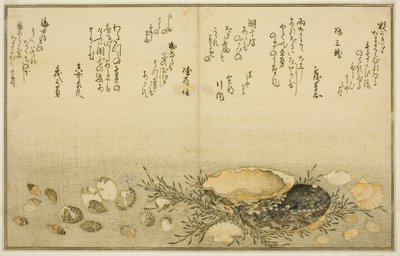 Chidori-gai, itaya-gai, awabi, utsuse-gai, asari-gai, et monoara-gai, du livre illustré "Cadeaux de la marée descendante (Shiohi no tsuto)" - Kitagawa Utamaro