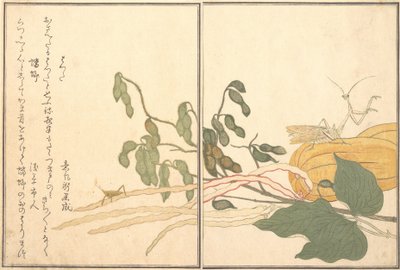 Sauterelle à tête conique ou Locuste, batta, Mante religieuse Toro ou Kamakiri..., 1788 - Kitagawa Utamaro