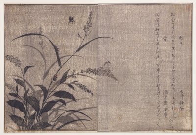 Criquet et lucioles, 1788 - Kitagawa Utamaro