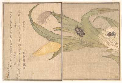  - Kitagawa Utamaro