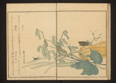 Sauterelle sur haricot et mante religieuse sur melon - Kitagawa Utamaro