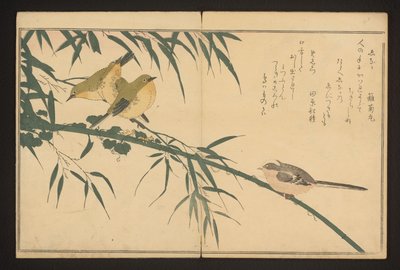 Mésange à longue queue et verdier - Kitagawa Utamaro