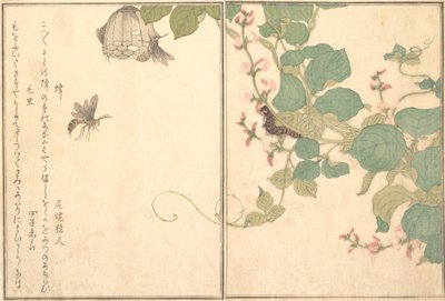 Guêpe de papier Hachi, chenille poilue Kemushi..., 1788 - Kitagawa Utamaro