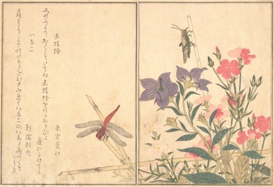 Libellule rouge Akatonbo, sauterelle Inago..., 1788 - Kitagawa Utamaro