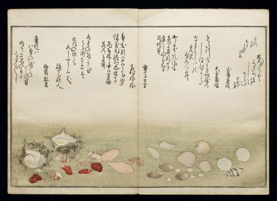 Shiohi no tsuto (Cadeaux de la marée descendante), connu sous le nom de Livre des coquillages, 1789 - Kitagawa Utamaro