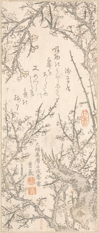 Prunier en fleur, 1813 - Kitao Shigemasa