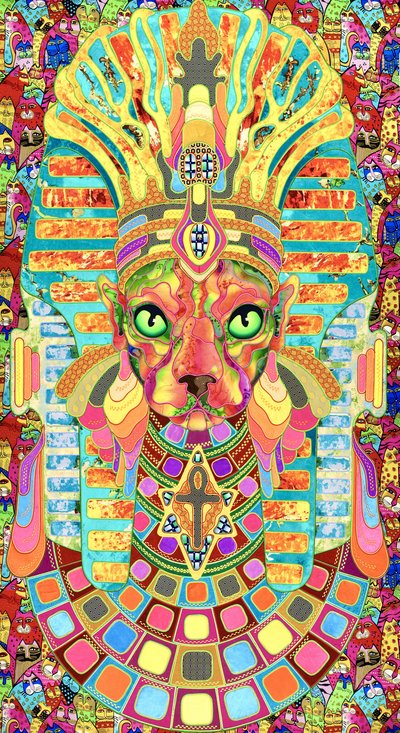Le chat pharaon plein de vie - Kostyantin Malginov