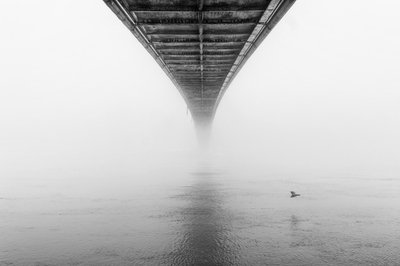  - Krunoslav Nevistic