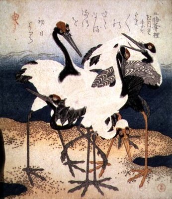 Cinq grues aux plumes blanches dans diverses poses sur une langue de sable, de la série Trois Pétales, c.1816 - Kubo Shumman