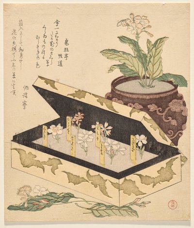 Assortiment de primevères dans une boîte laquée - Kubo Shunman