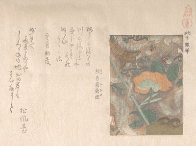 Dessins de cuirs importés, 19e siècle - Kubo Shunman