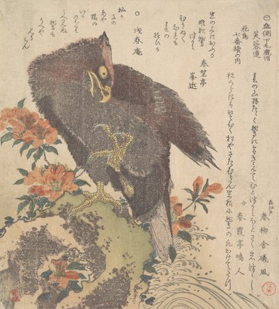 Aigle sur un rocher, azalées en fleurs, vers 1800 - Kubo Shunman