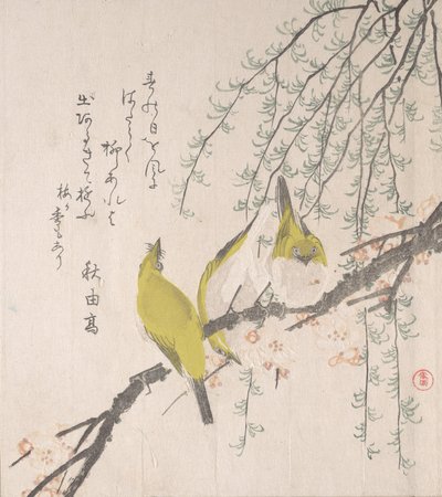 Mésanges japonaises avec prunier et saule..., vers 1810 - Kubo Shunman