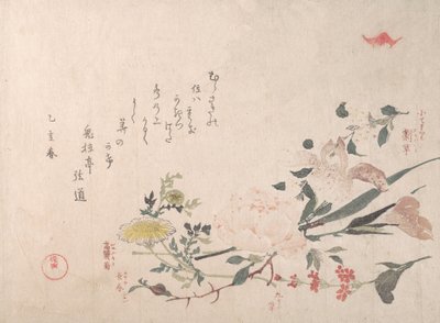 Rose, Iris, Primevère et Marguerite, 1815 - Kubo Shunman
