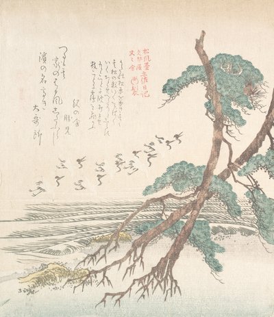 Paysage côtier avec pins et grues volantes, 19e siècle - Kubo Shunman