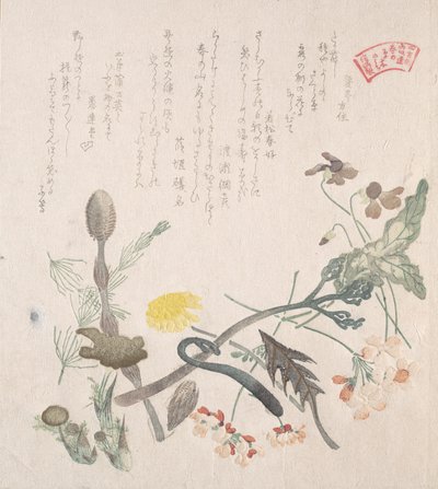 Violettes, primevères et autres fleurs de printemps, 19ème siècle - Kubo Shunman