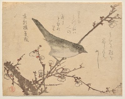 Paruline sur une branche de prunier - Kubo Shunman