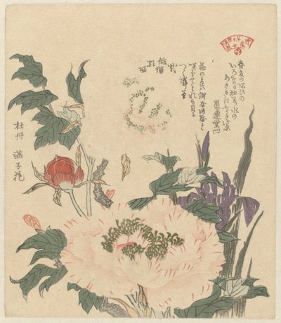 Pivoines et iris - Kubota Shunman