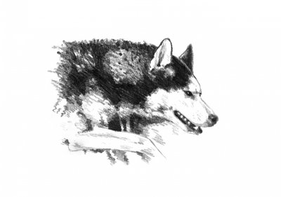  - Kulik
