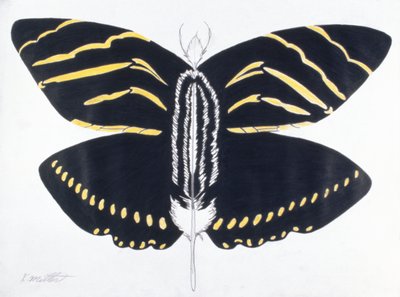Papillon à plumes, 2004 (crayon de couleur sur papier) - Kurtis L. Miller