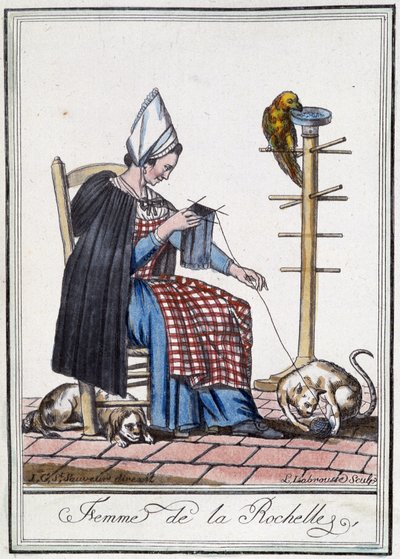 Femme de La Rochelle tricotant avec un chien, un perroquet et un chat jouant avec la pelote de laine - L.F. Labrousse