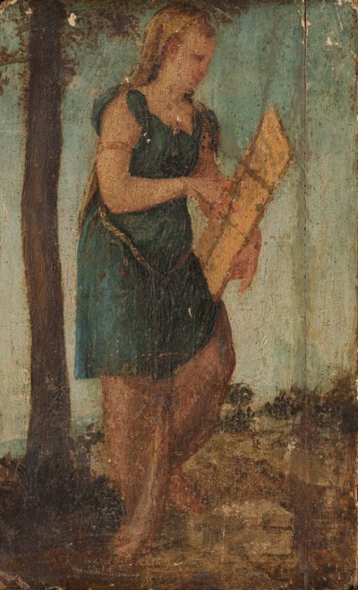 Femme avec bouclier - Lambert Sustris (circle of)